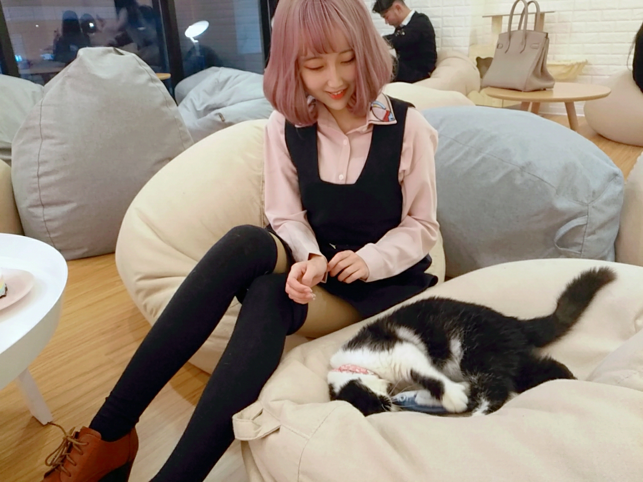 猫奴