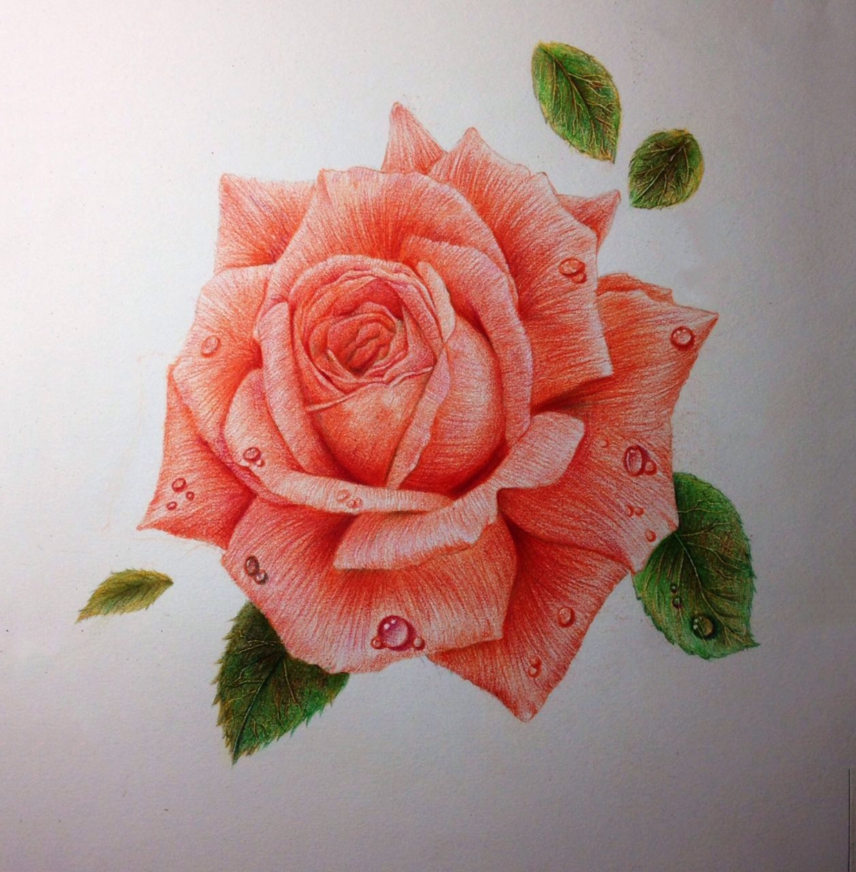彩铅画