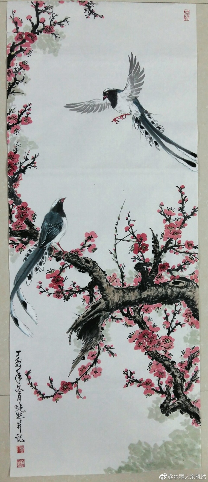 学梅若画.