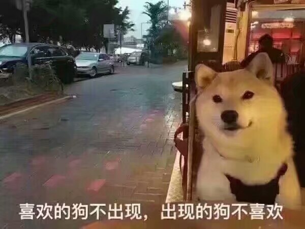 超火的表情包 聊天图片 说说配图 可爱 萌 软妹 猫咪 撩妹 搞笑