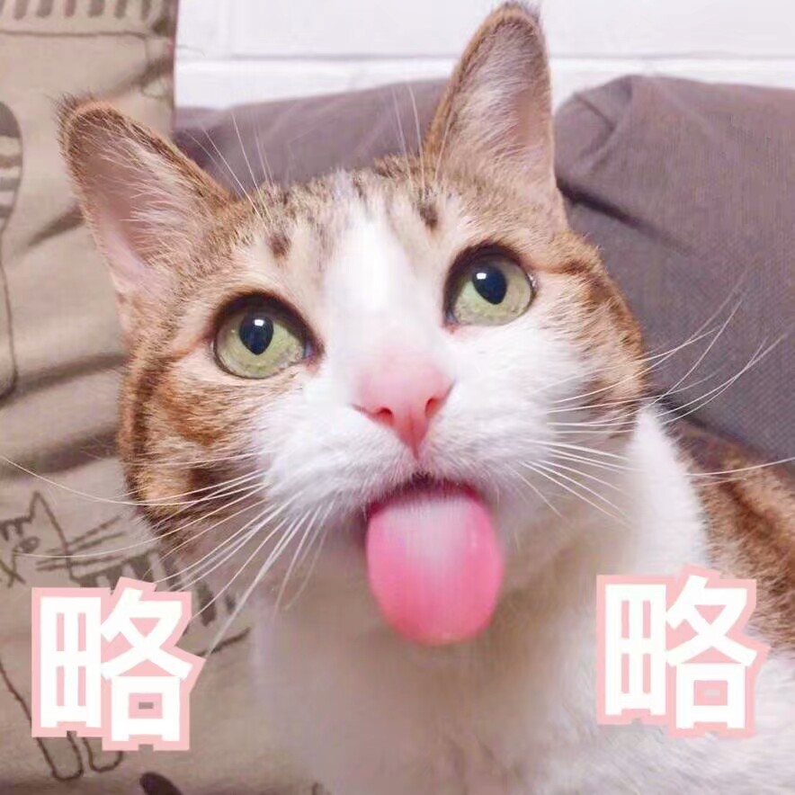 猫咪省略号表情包图片