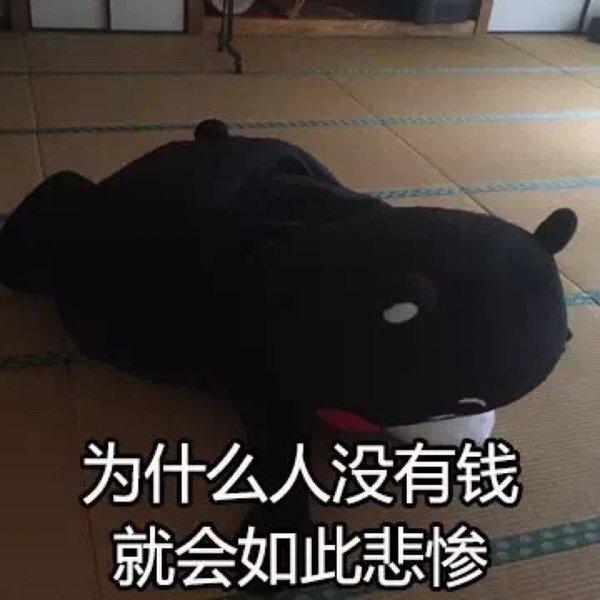 熊本熊 表情包