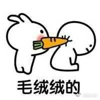 高糊图片喵咪熊猫头gif金表情…-堆糖,美好图片馆长大全字带搞笑鹅的图片