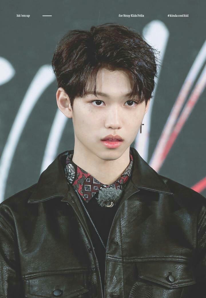 stray kids lee felix