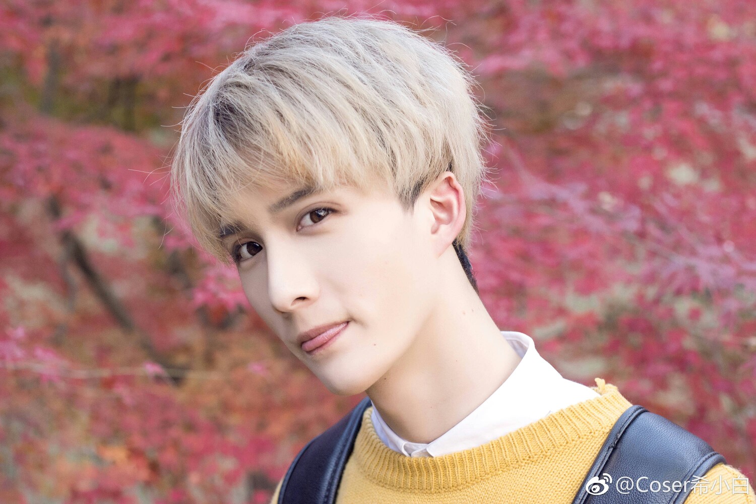 希小白