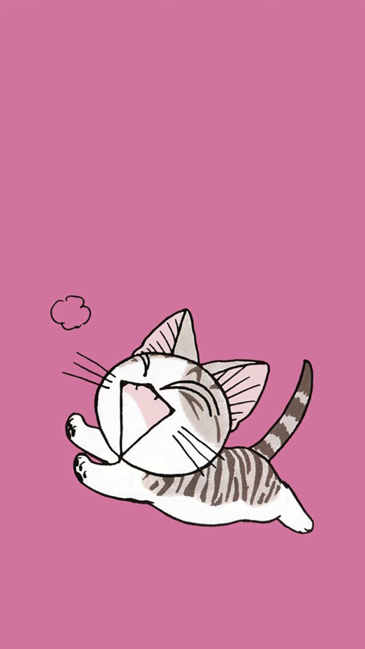 小奇猫猫套图