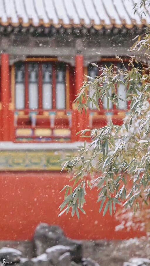 故宫雪景