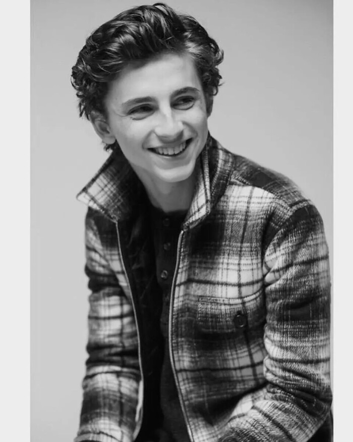 蒂莫西·柴勒梅德timothée chalamet,甜茶,头像,壁纸