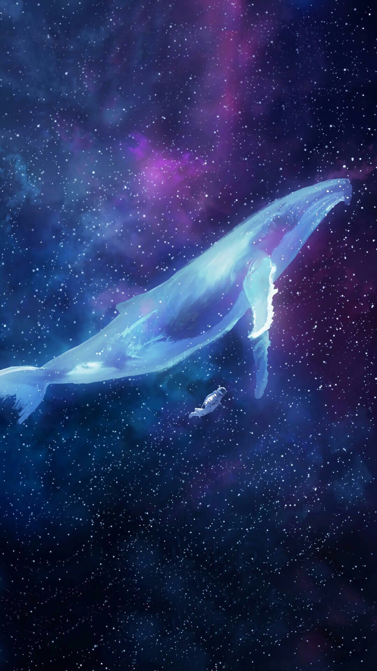 星辰大海图片鲸鱼男孩图片