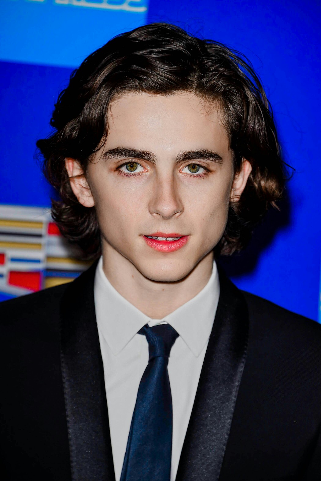 蒂莫西·柴勒梅德timothée chalamet,甜茶,头像,壁纸