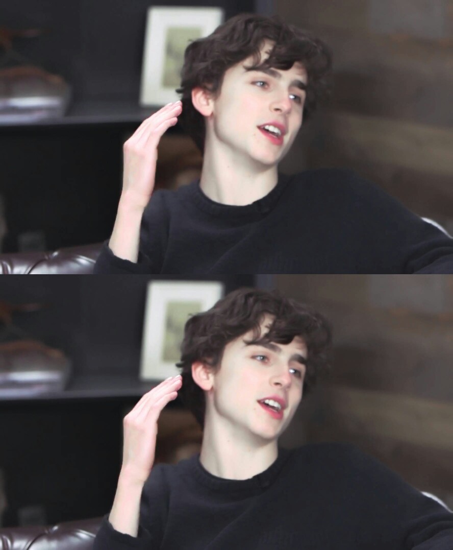 蒂莫西·柴勒梅德timothée chalamet,甜茶,头像,壁纸