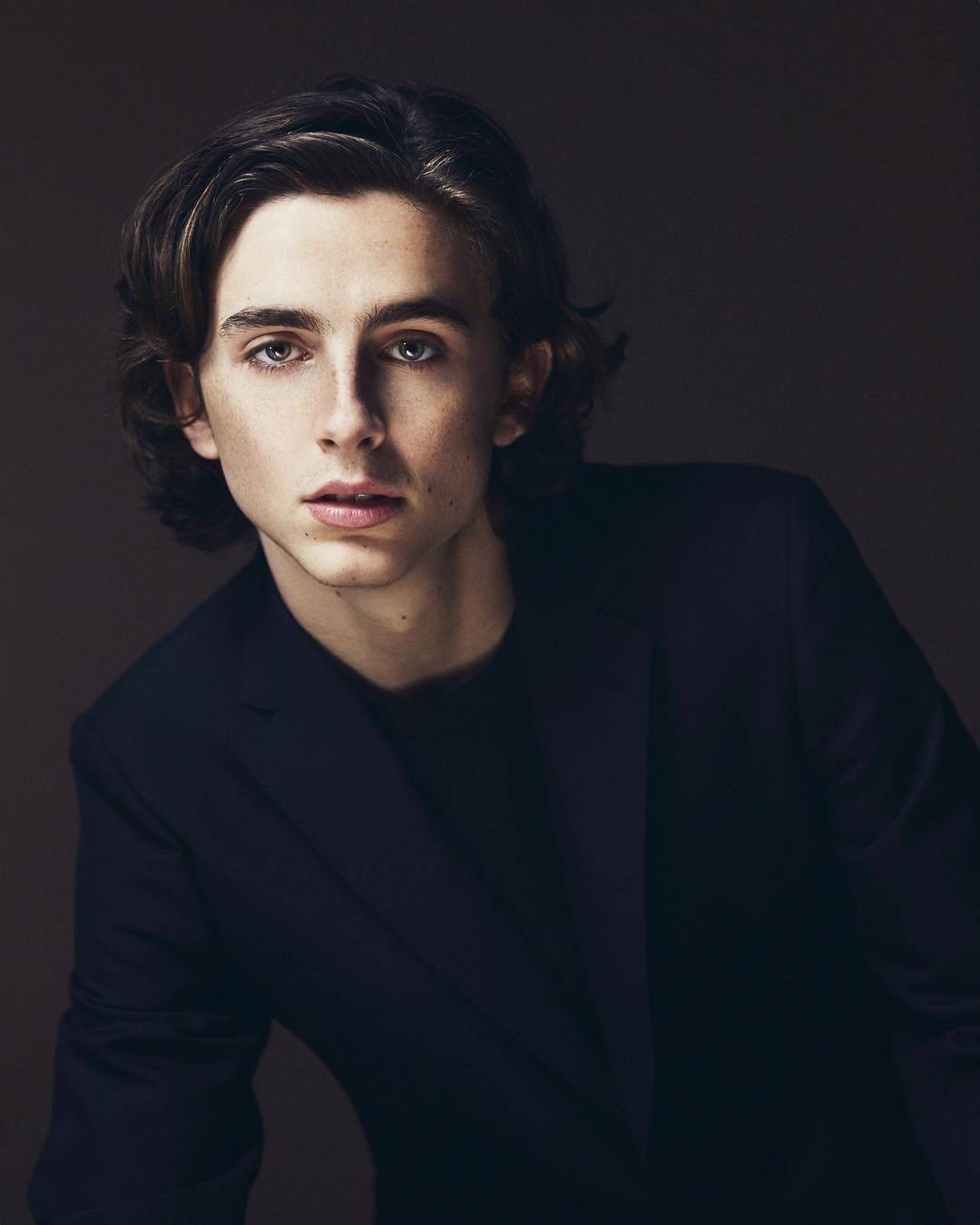 蒂莫西·柴勒梅德timothée chalamet,甜茶,头像,壁纸