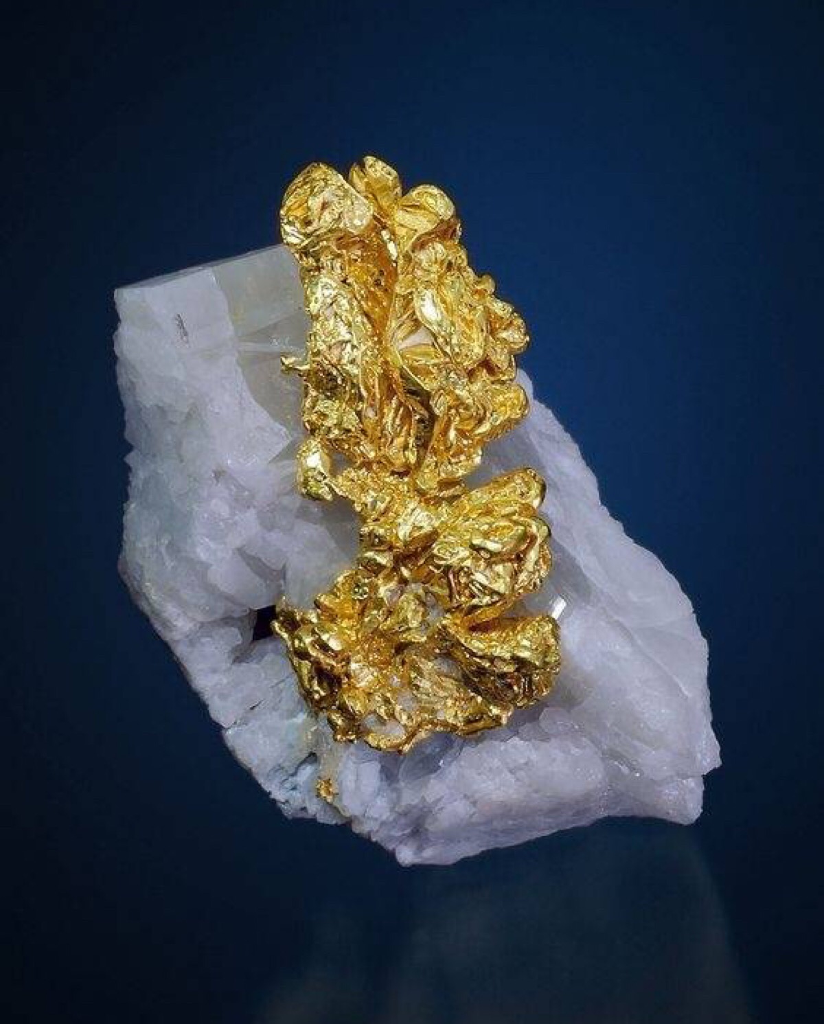 石英上的黄金 gold on quartz 这块矿标值钱了