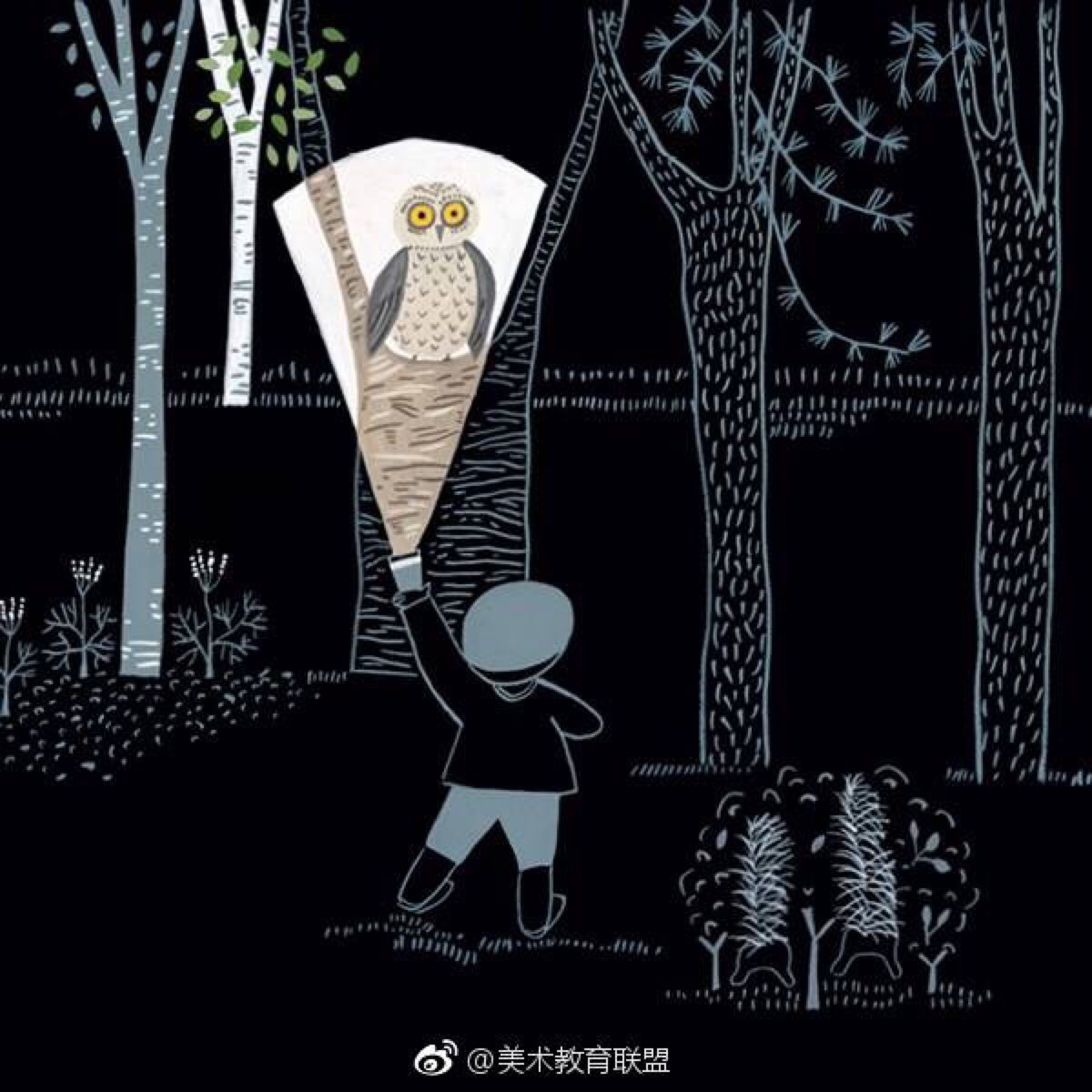 手电筒——夜晚的森林