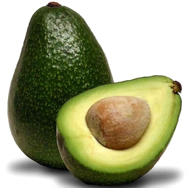 avocado是什么意思图片