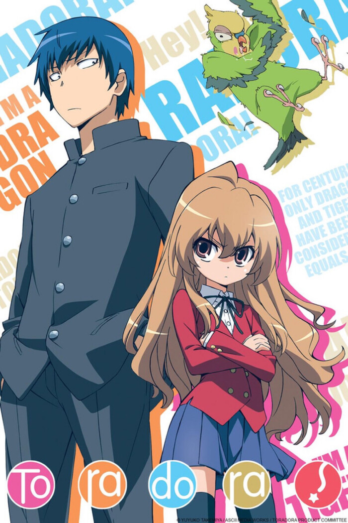 [龙与虎] (toradora) 看起来像不良少年的高须龙儿事实上是个很普通的