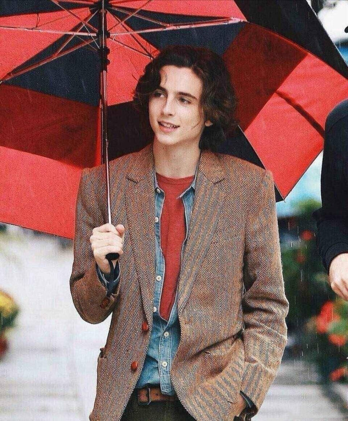 蒂莫西·柴勒梅德timothée chalamet,甜茶,头像,壁纸