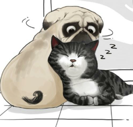 巴扎黑 吾皇 漫画 快看