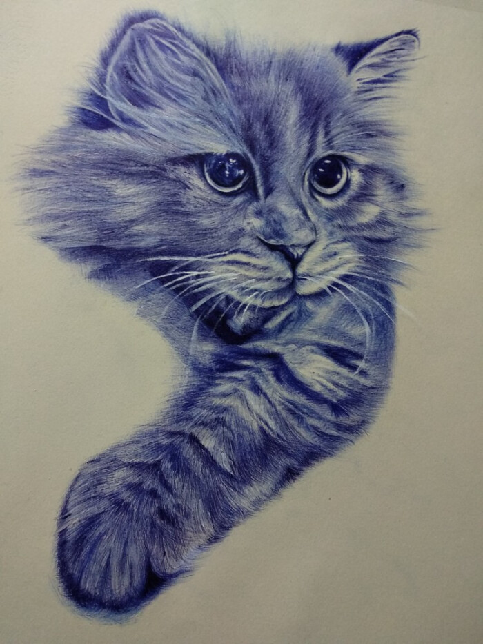 《猫》——圆珠笔画