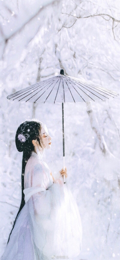 我寄人间雪满头
