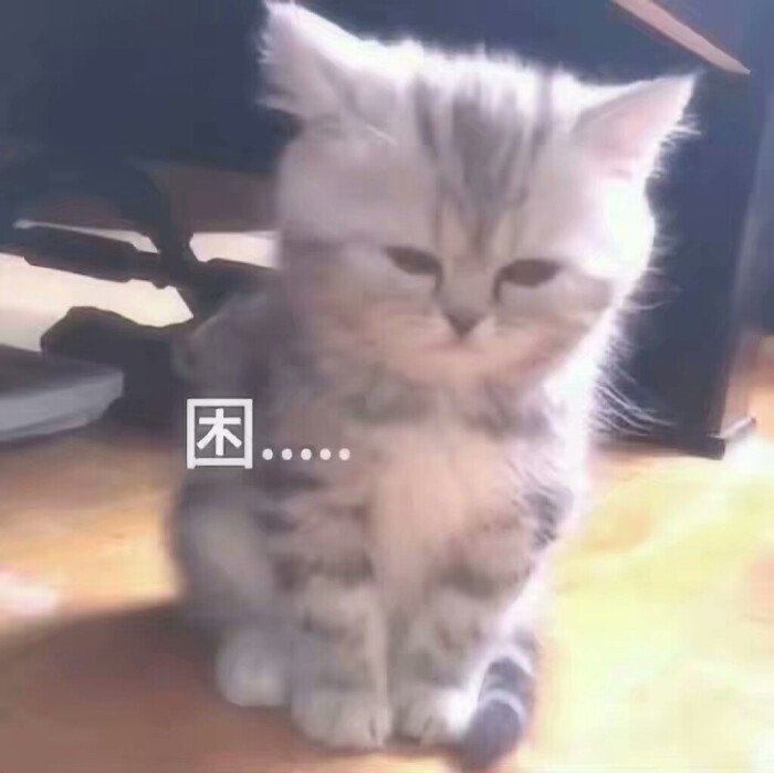 嘻嘻嘻 表情包