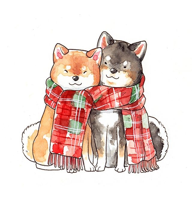 飞乐鸟分享 可爱小柴犬,2018,向狗年进发吧(ins:dliok)