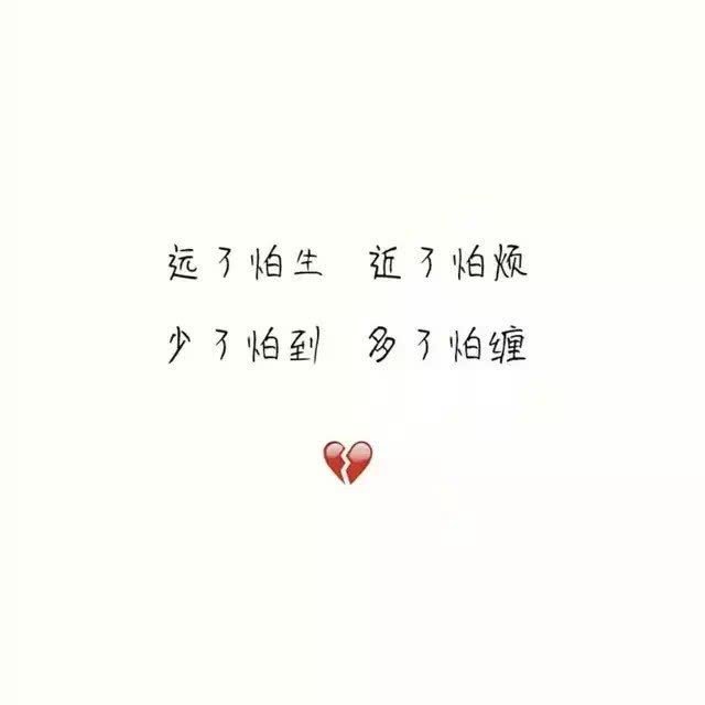 白底文字背景 主页图 个性签名