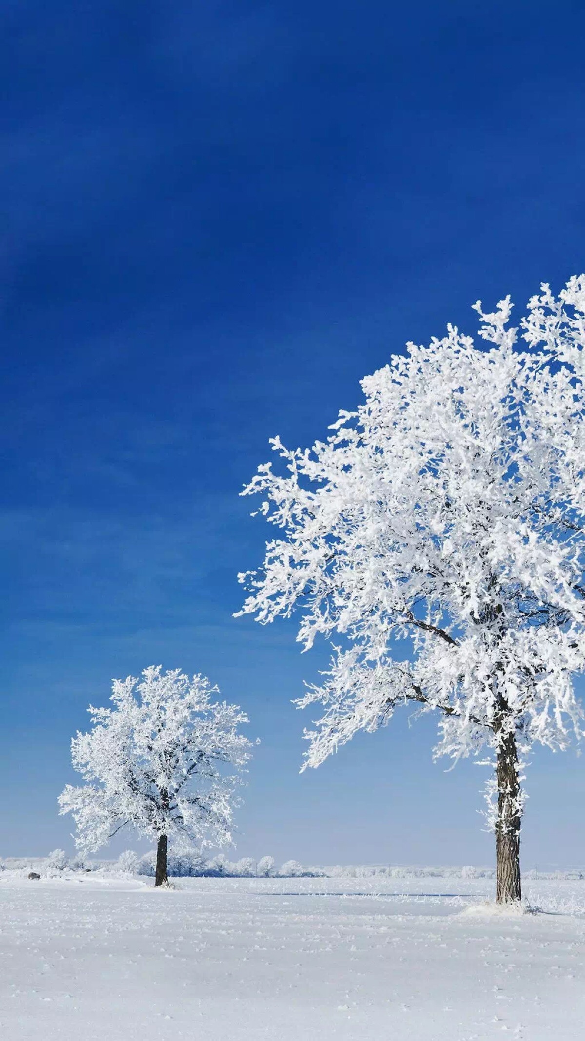 天空 雪