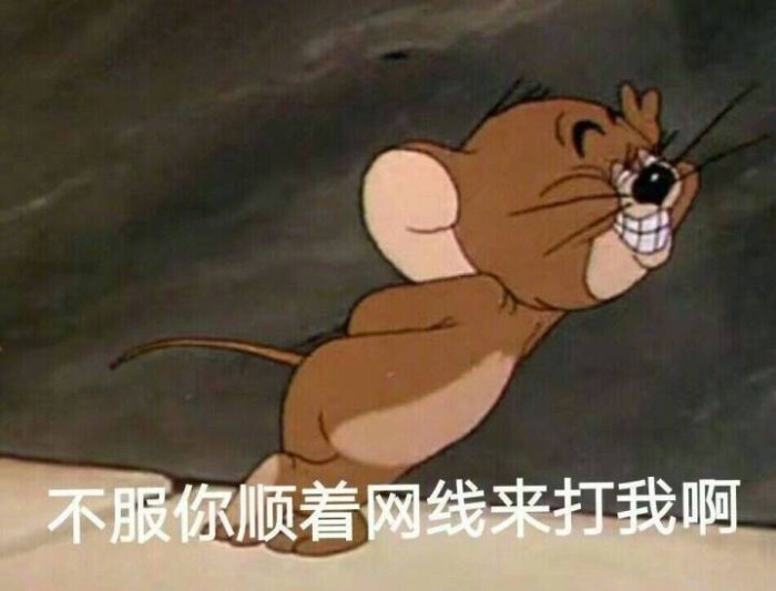顺着网线来打我 表情包