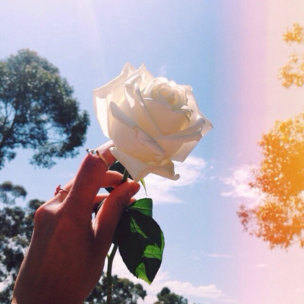 天空 蓝色 唯美 壁纸 动漫 海浪