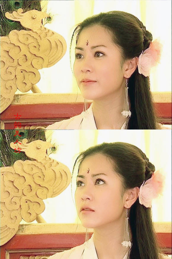 杨门女将之女儿当自强金陵公主谢韵仪