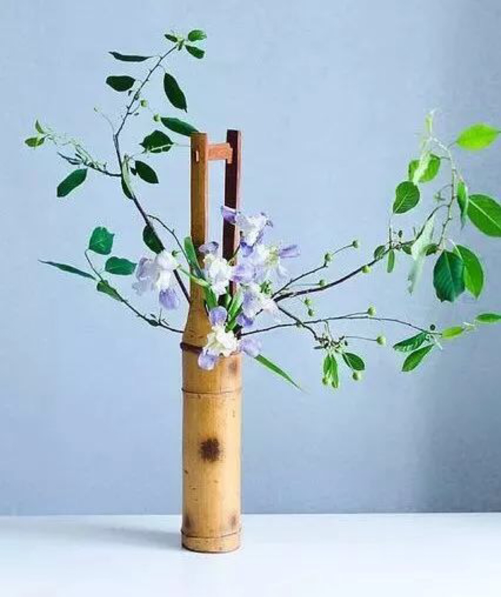 竹花筒插花的要点在于简洁自然,有一种生命从竹筒内向外张望的欣喜感