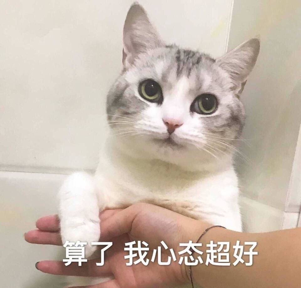 猫表情包可爱