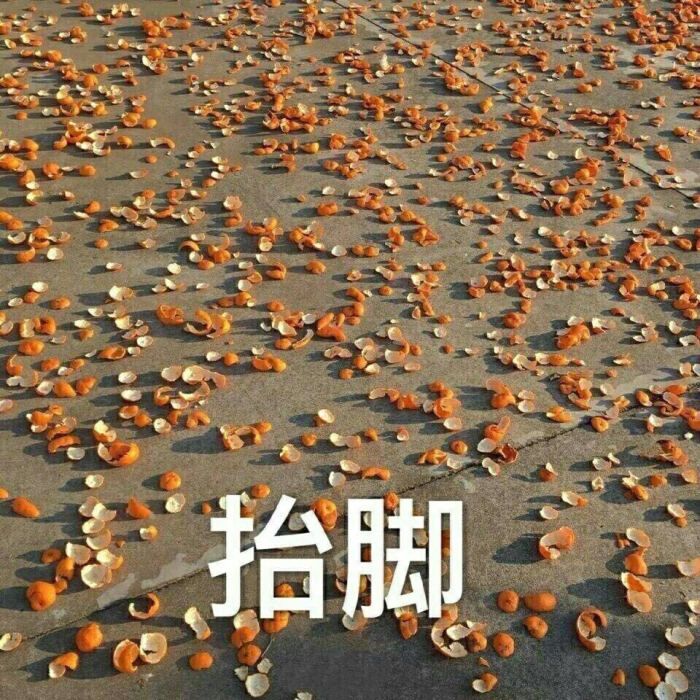 杂图橘子扫动物皮的表情喊弟表情包图片
