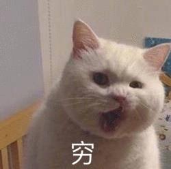小鱼干