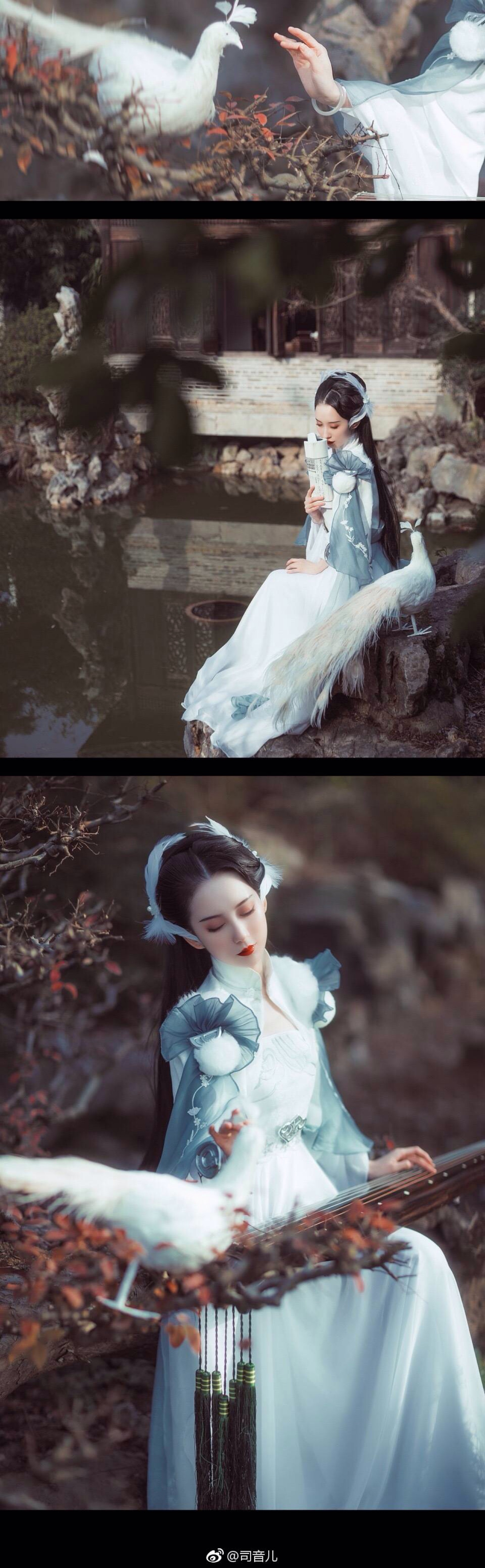 司音儿