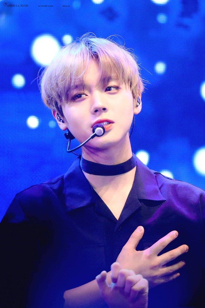 wannaone 朴志训