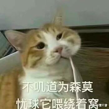 忧伤和桑吸猫表情图片起来打回复表情包的图片