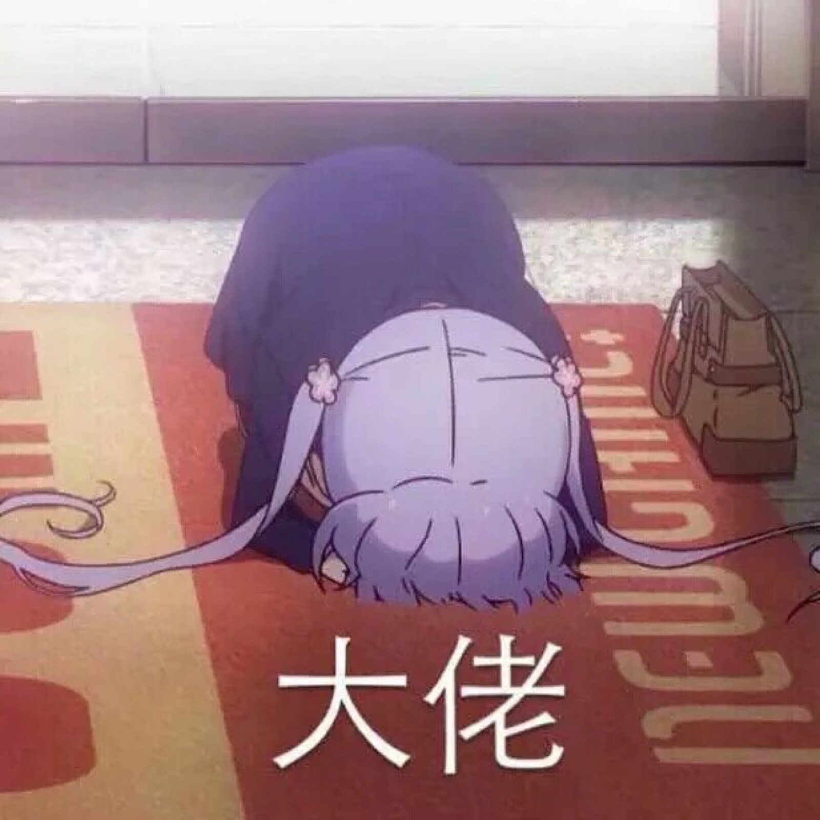 给大佬磕头