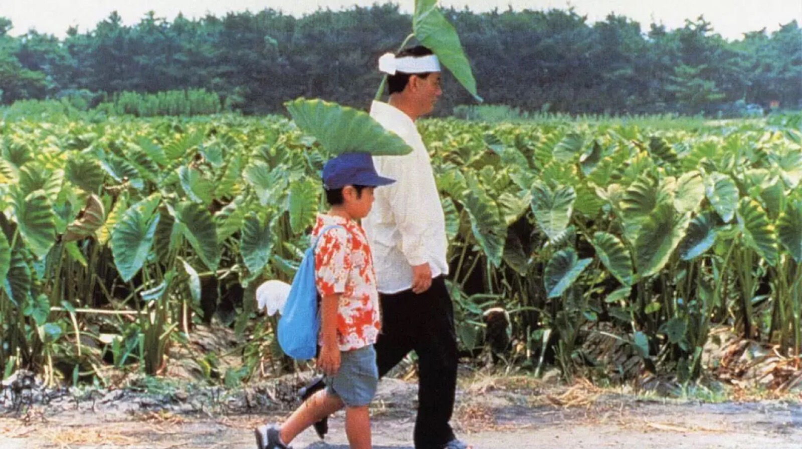 菊次郎的夏天