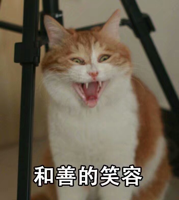 猫表情包可爱