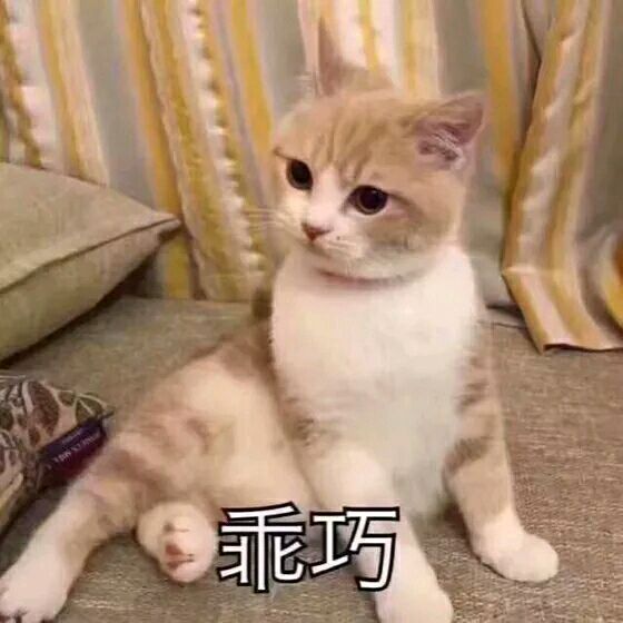 关于喵星人的表情包
