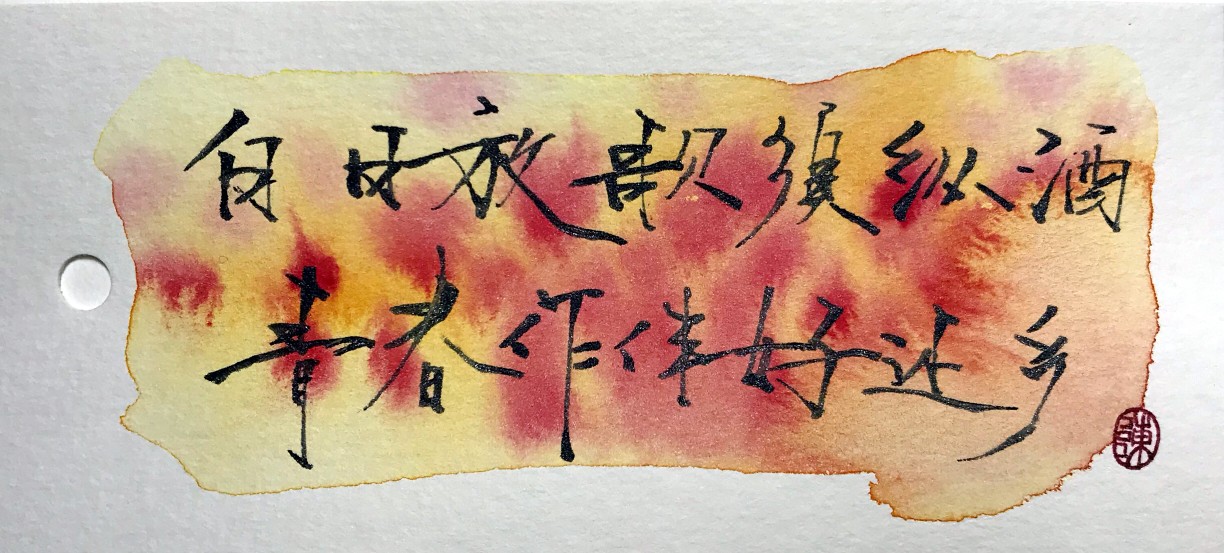 白日放歌须纵酒,青春作伴好还乡.