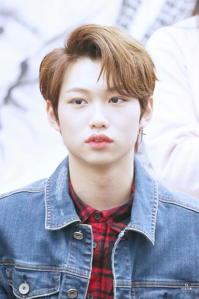 stray kids lee felix