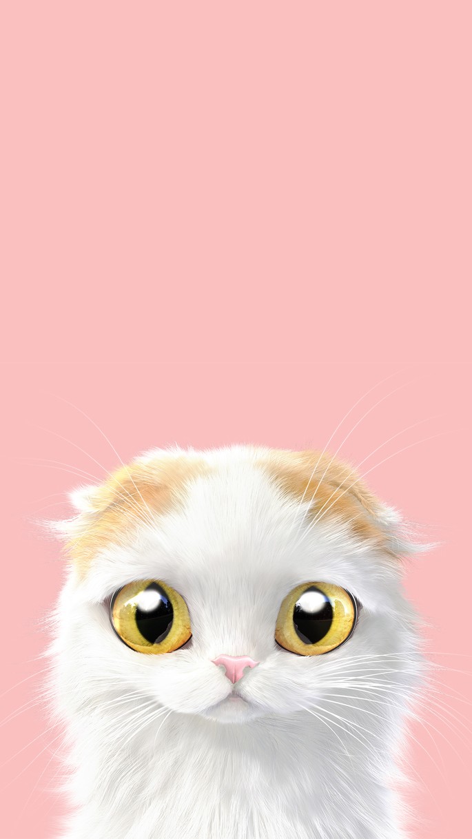 超可爱的猫咪大头照