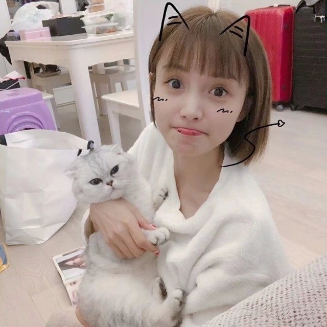 林小宅(女生头像)喜欢的可爱美少女崽崽~ 淘宝店向日宅物,出版书《我