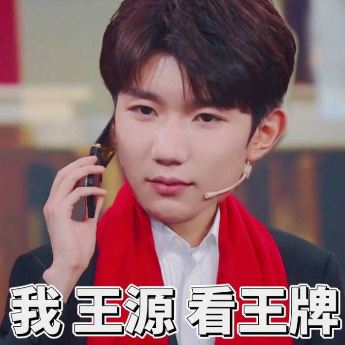 王源(表情包)cr:一位小肥