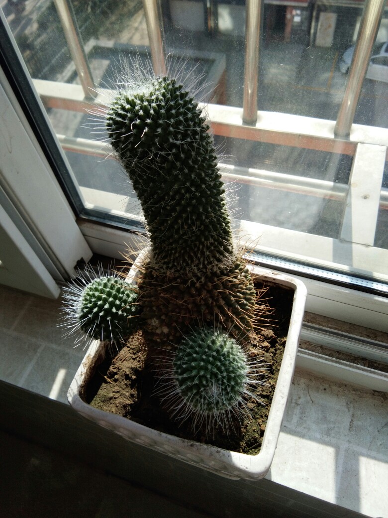 搞笑图片
