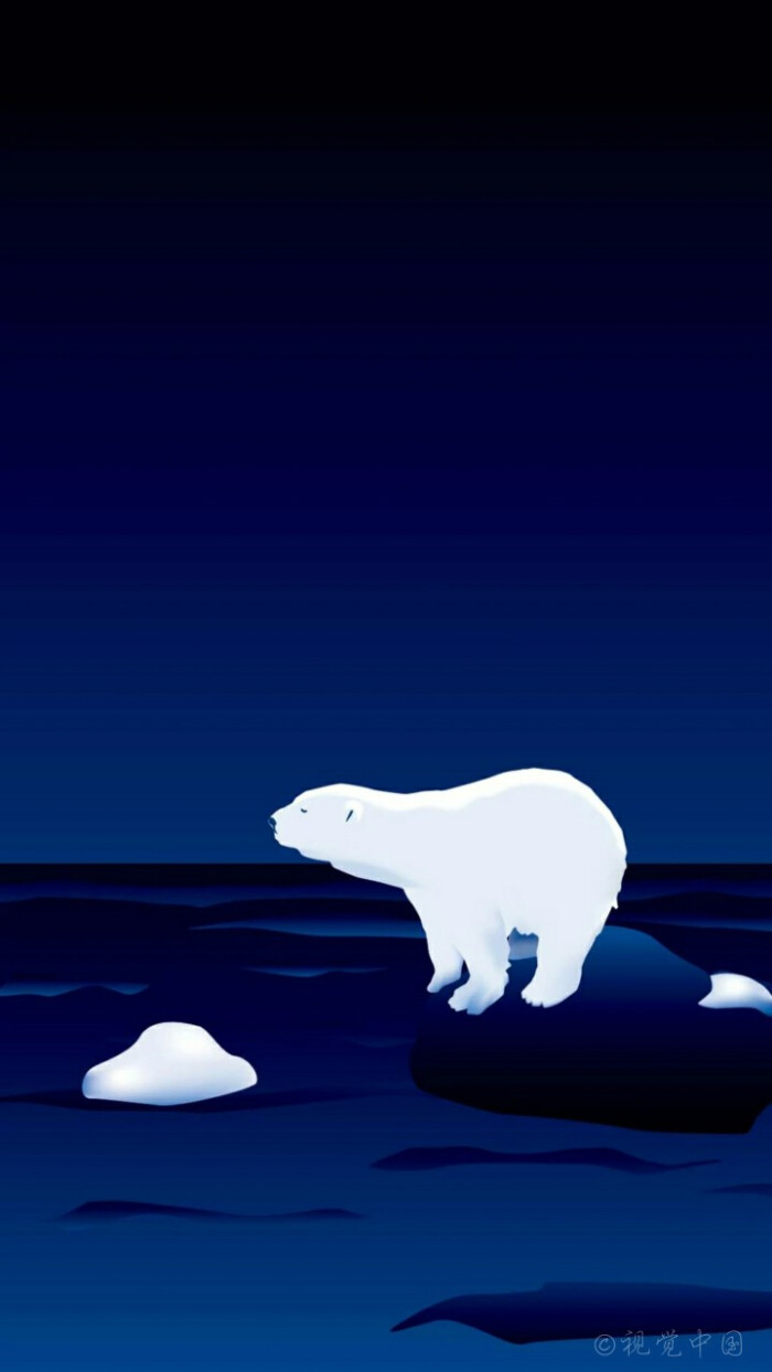 北极熊手机壁纸竖屏图片