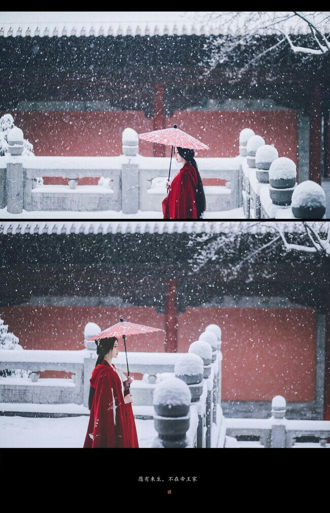 [cp]【红墙白雪遥相寄】"曹子桓,如果有来生,我不愿意再见到你.